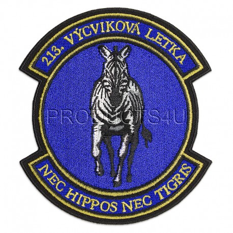 Patch -  213th Training Squadron