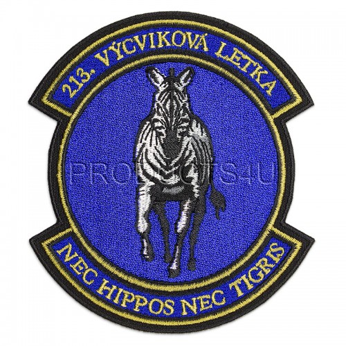 PATCH -  213th TRAINING SQUADRON
