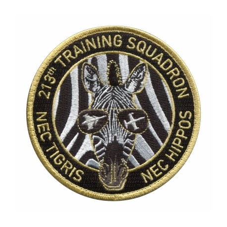 PATCH - 213th TRAINING SQUADRON