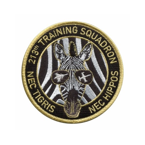PATCH - 213th TRAINING SQUADRON